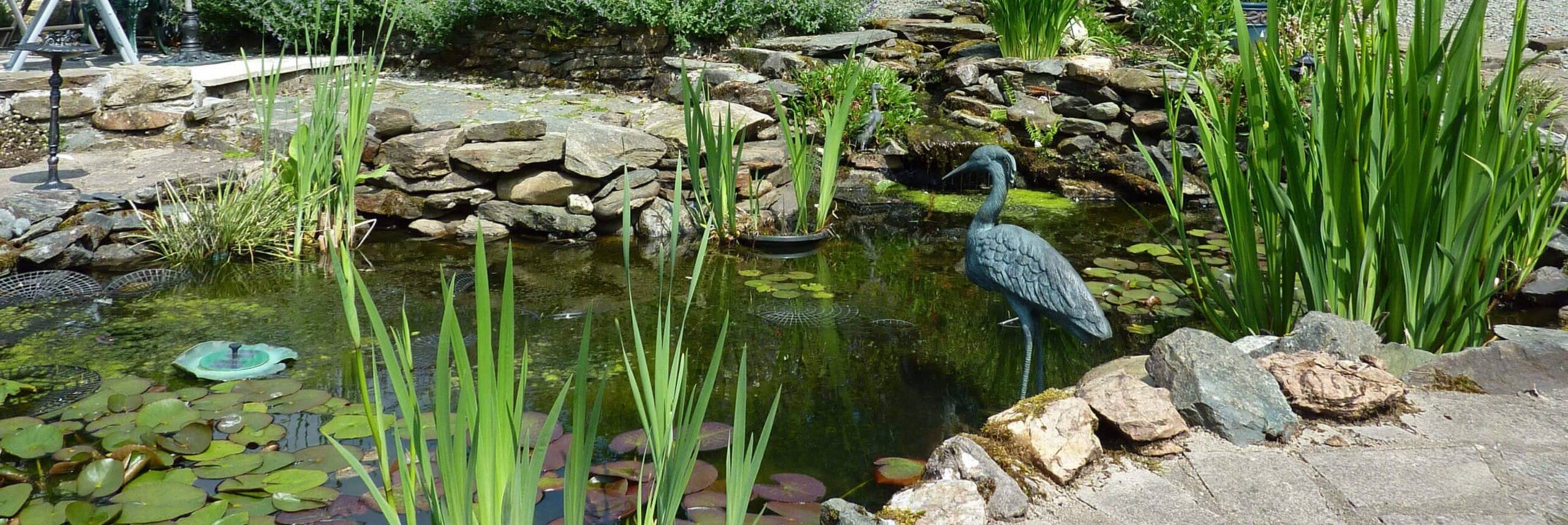 image-of-garden-pond
