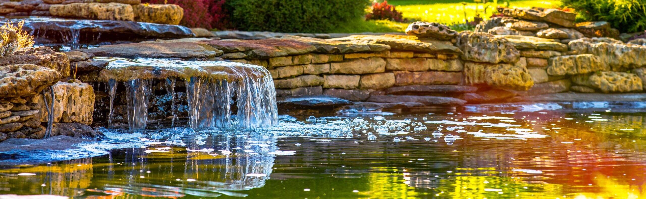 beautiful landscaping with beautiful plants